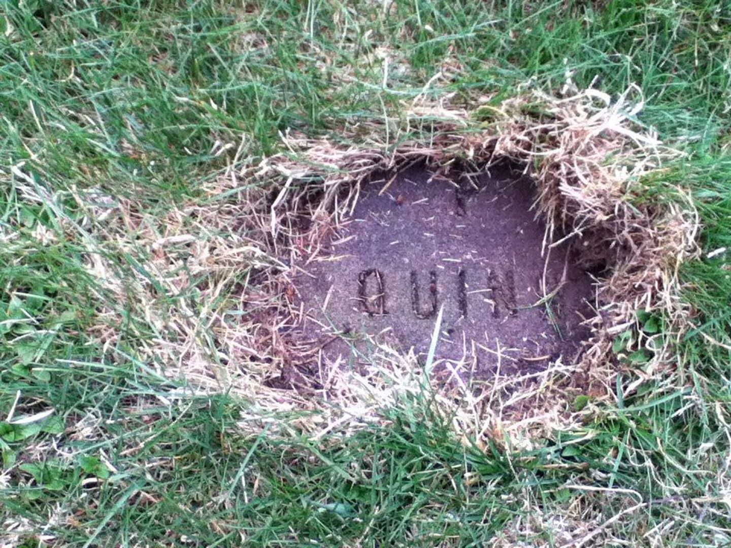 Pat Quinn's grave